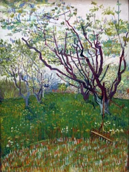 The Flowering Orchard